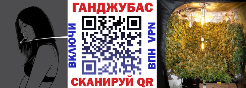 Конопля сатива Азов